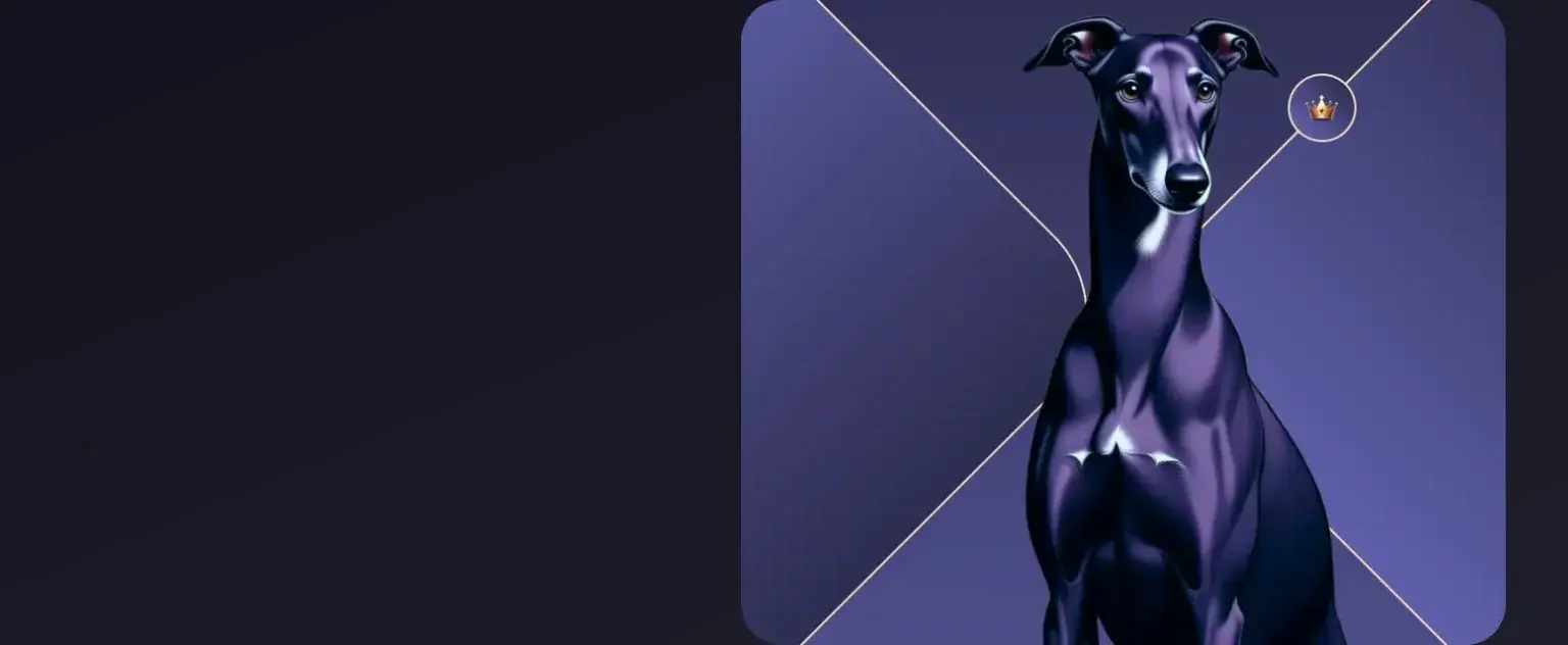 No-Deposit-Bonus Gewinne bis 50 €